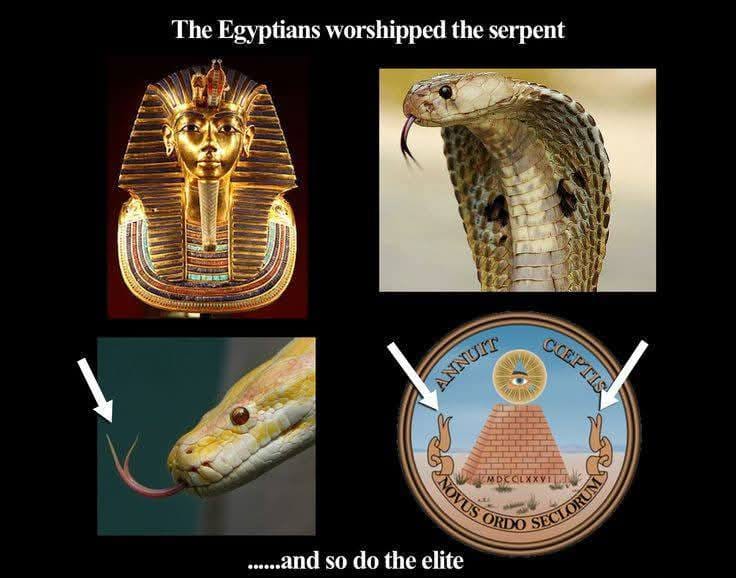 Naga: A Serpente Cósmica e a Energia Kundalini